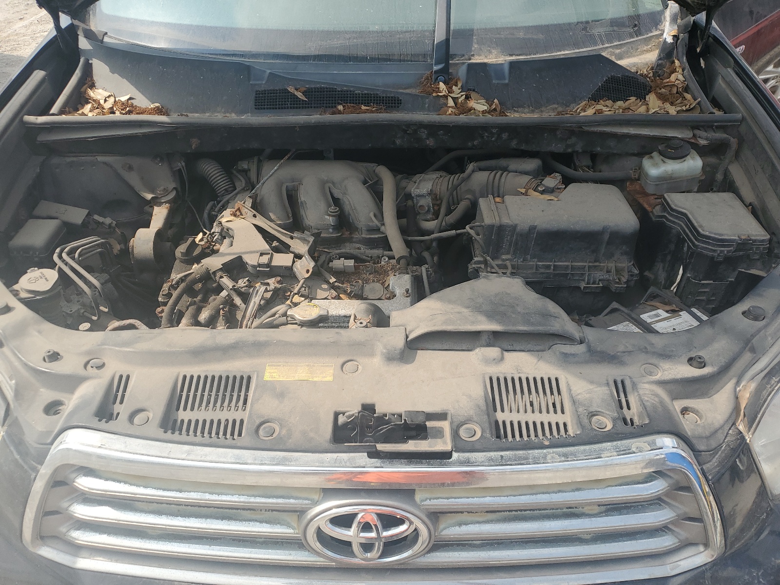 JTEES42A482080430 2008 Toyota Highlander Limited