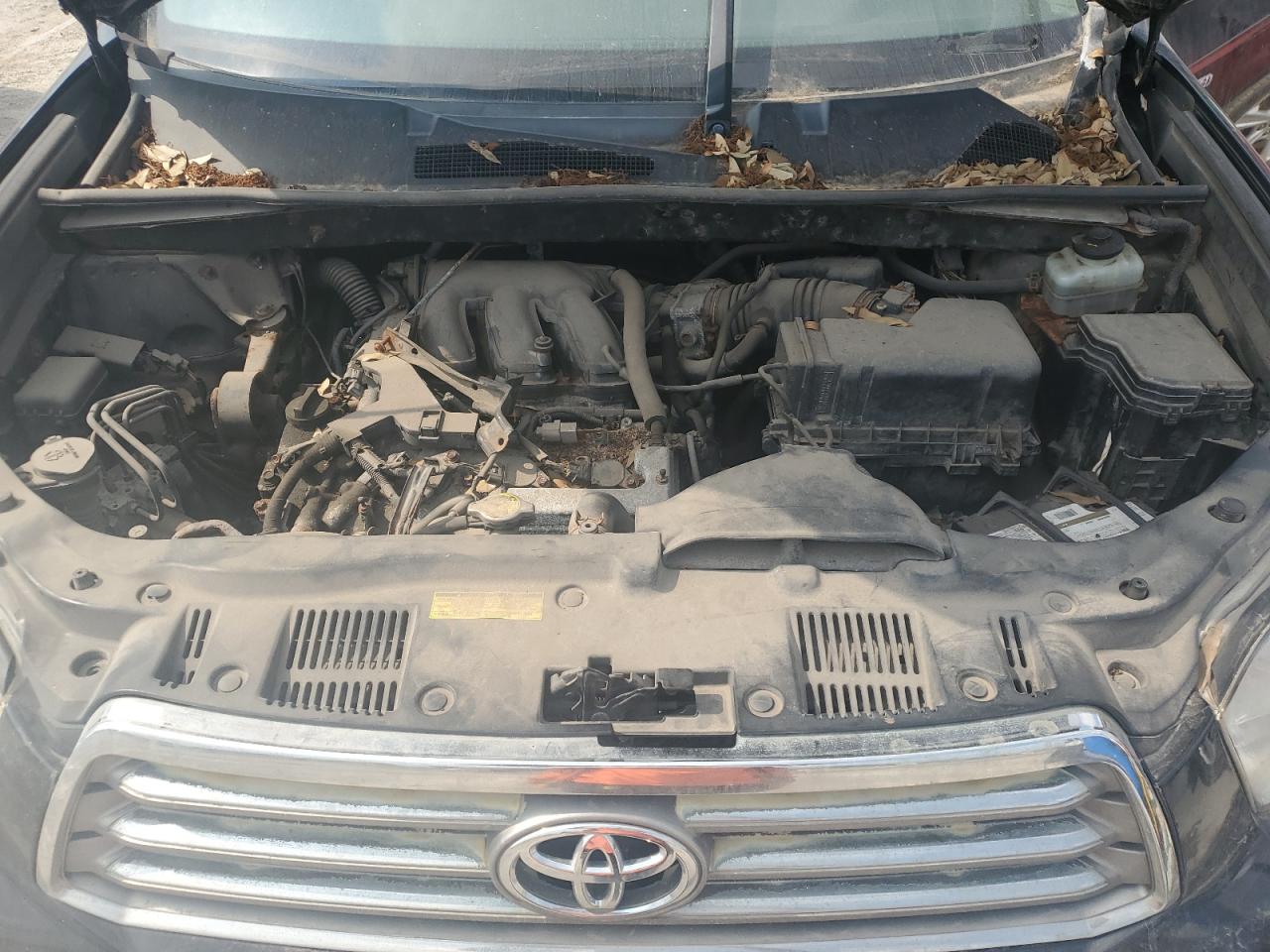 2008 Toyota Highlander Limited VIN: JTEES42A482080430 Lot: 54545524