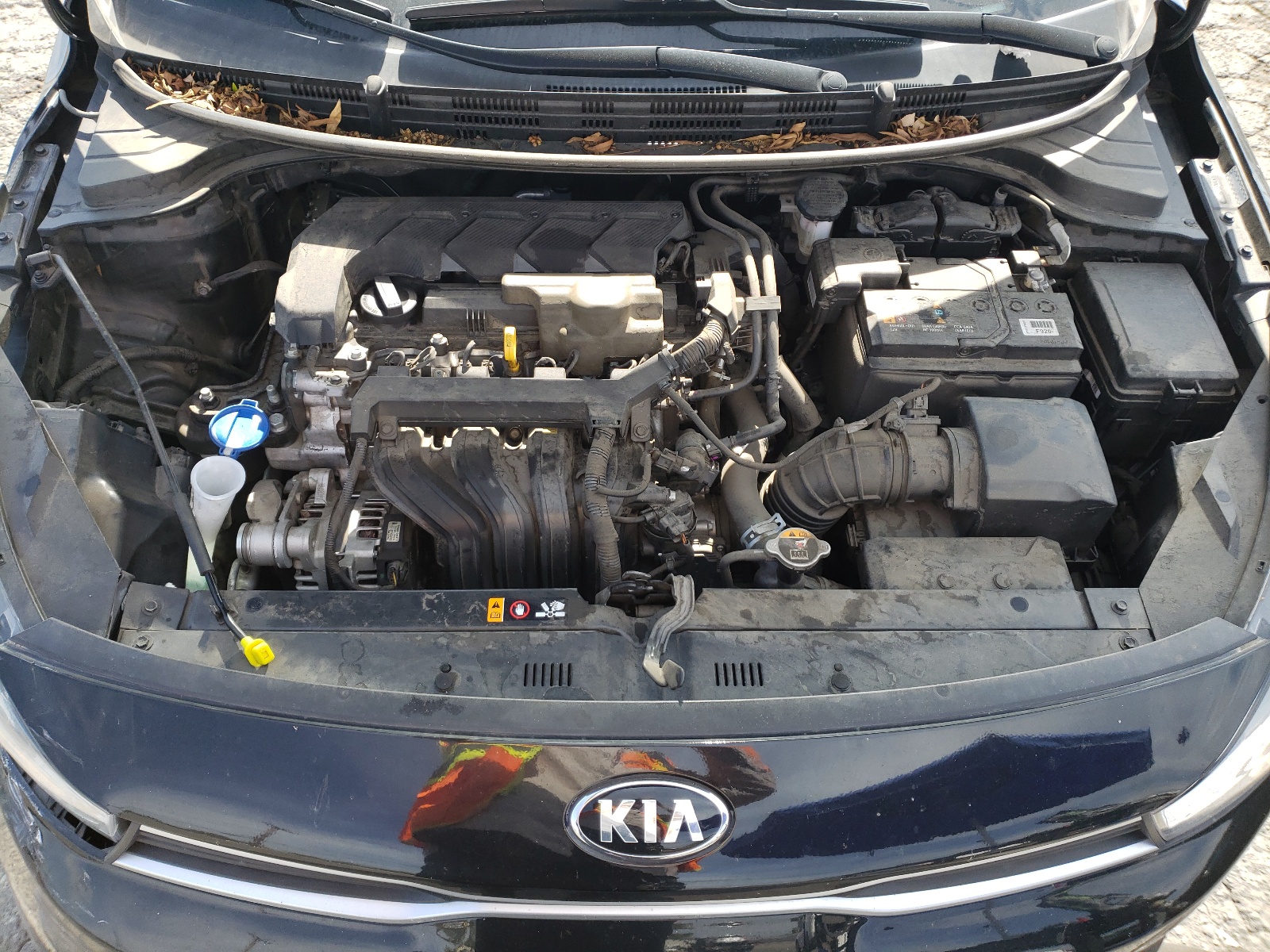 3KPA24AD7ME380233 2021 Kia Rio Lx