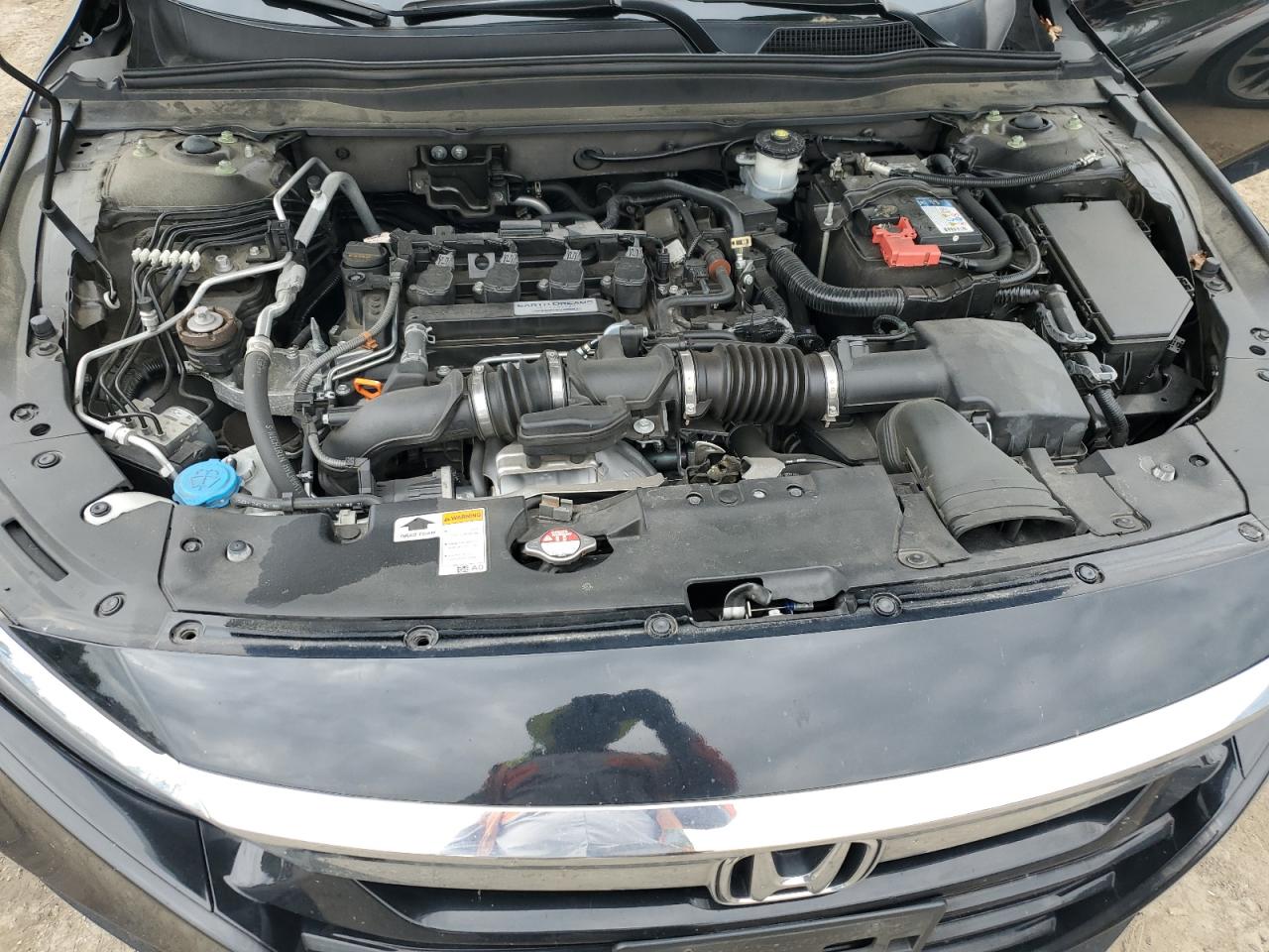 1HGCV1F17KA015954 2019 Honda Accord Lx