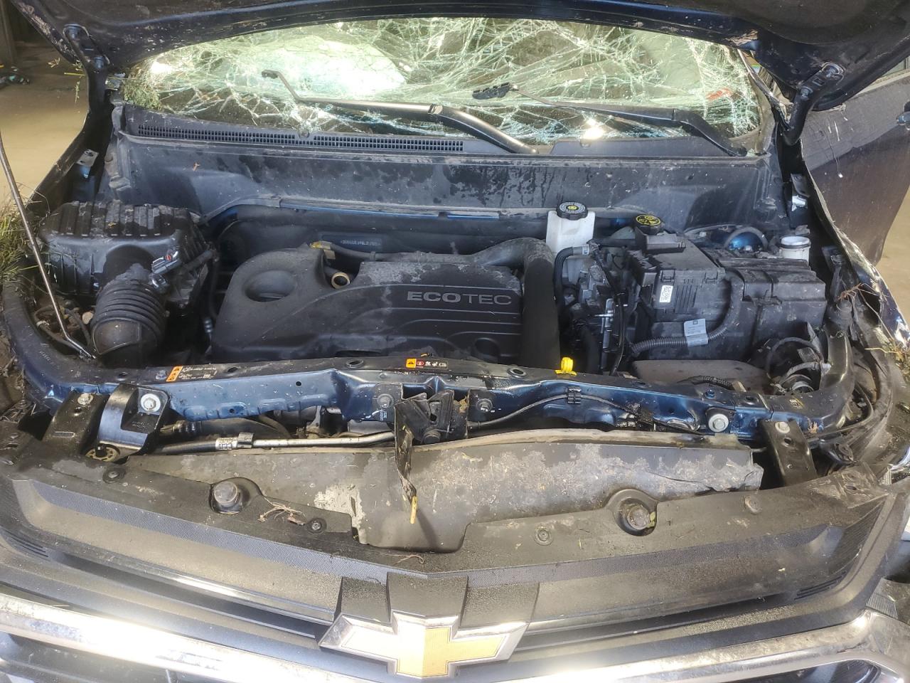 2021 Chevrolet Equinox Lt VIN: 3GNAXUEV4ML317601 Lot: 57342874