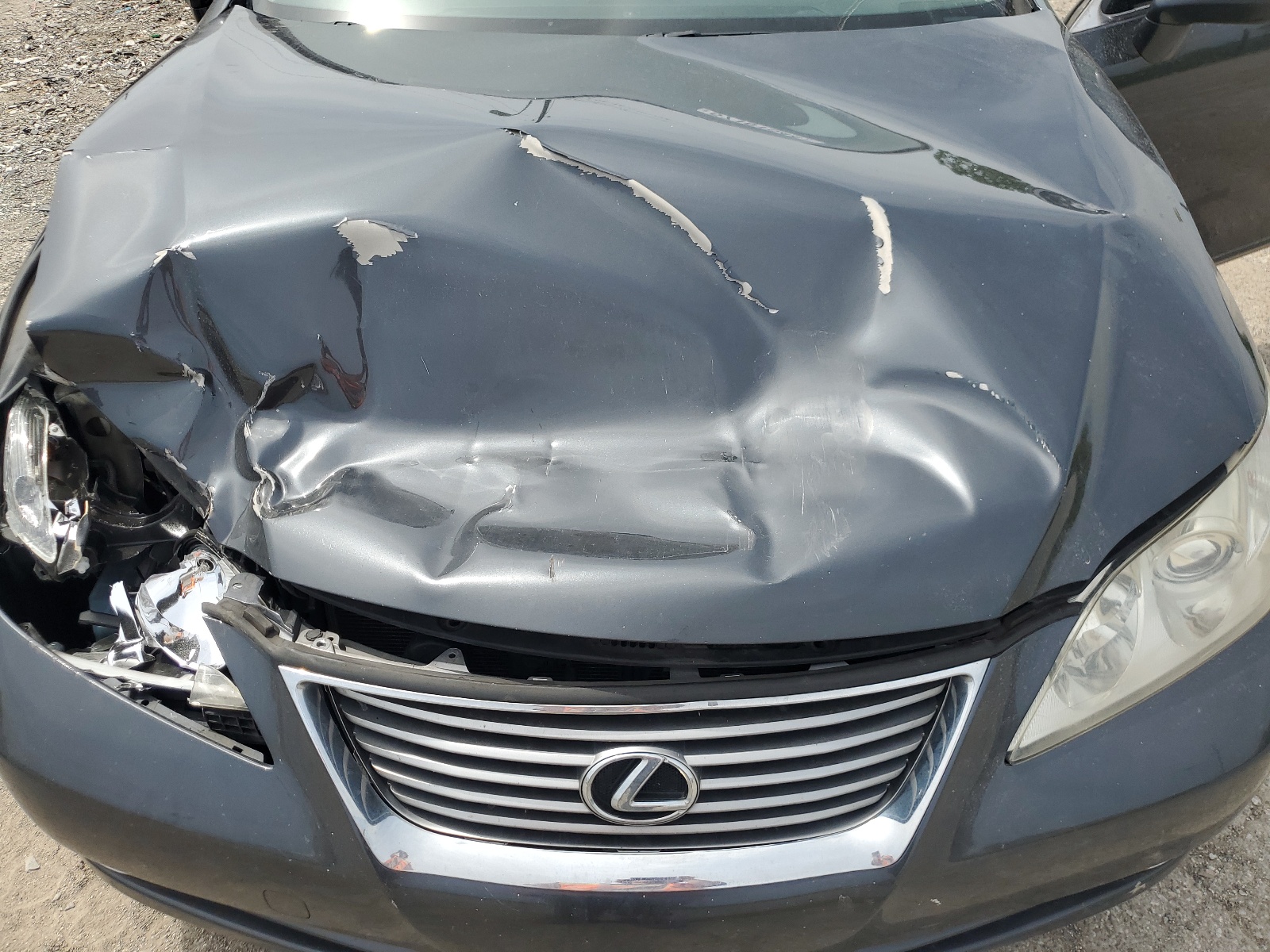 JTHBJ46G892308678 2009 Lexus Es 350