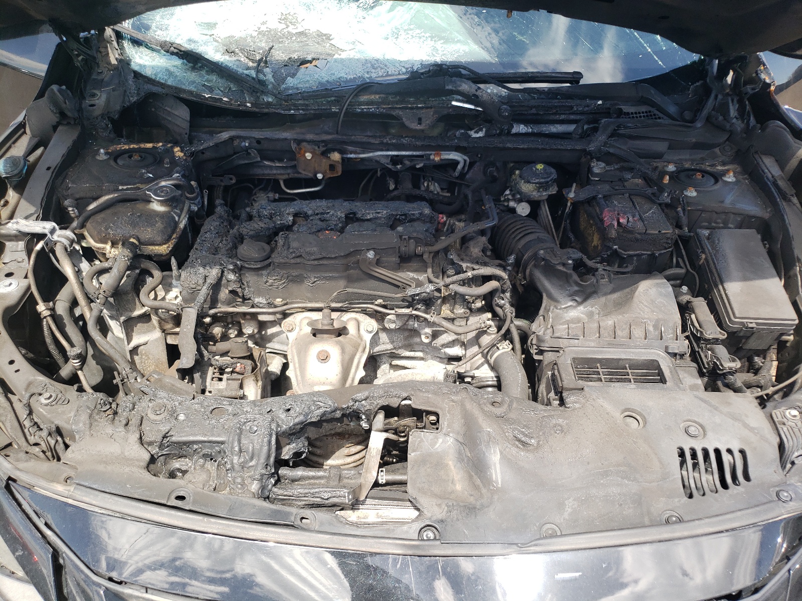 19XFC2F65KE019548 2019 Honda Civic Lx