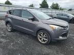 2014 Ford Escape Titanium for Sale in Grantville, PA - Front End