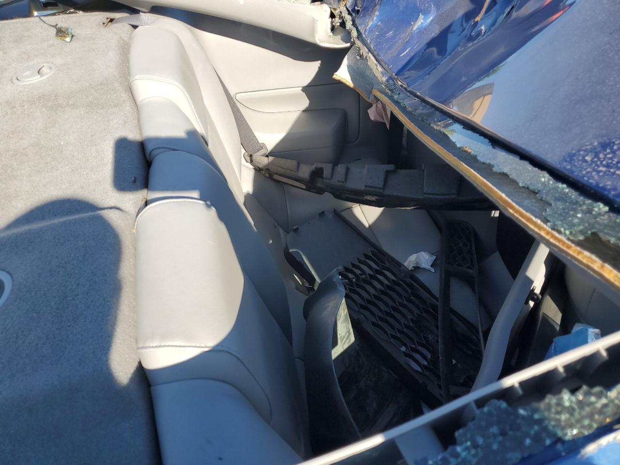 2009 Ford Mustang VIN: 1ZVHT80NX95123953 Lot: 56860804