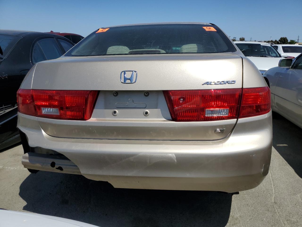 2005 Honda Accord Ex VIN: 1HGCM55765A007977 Lot: 55530584