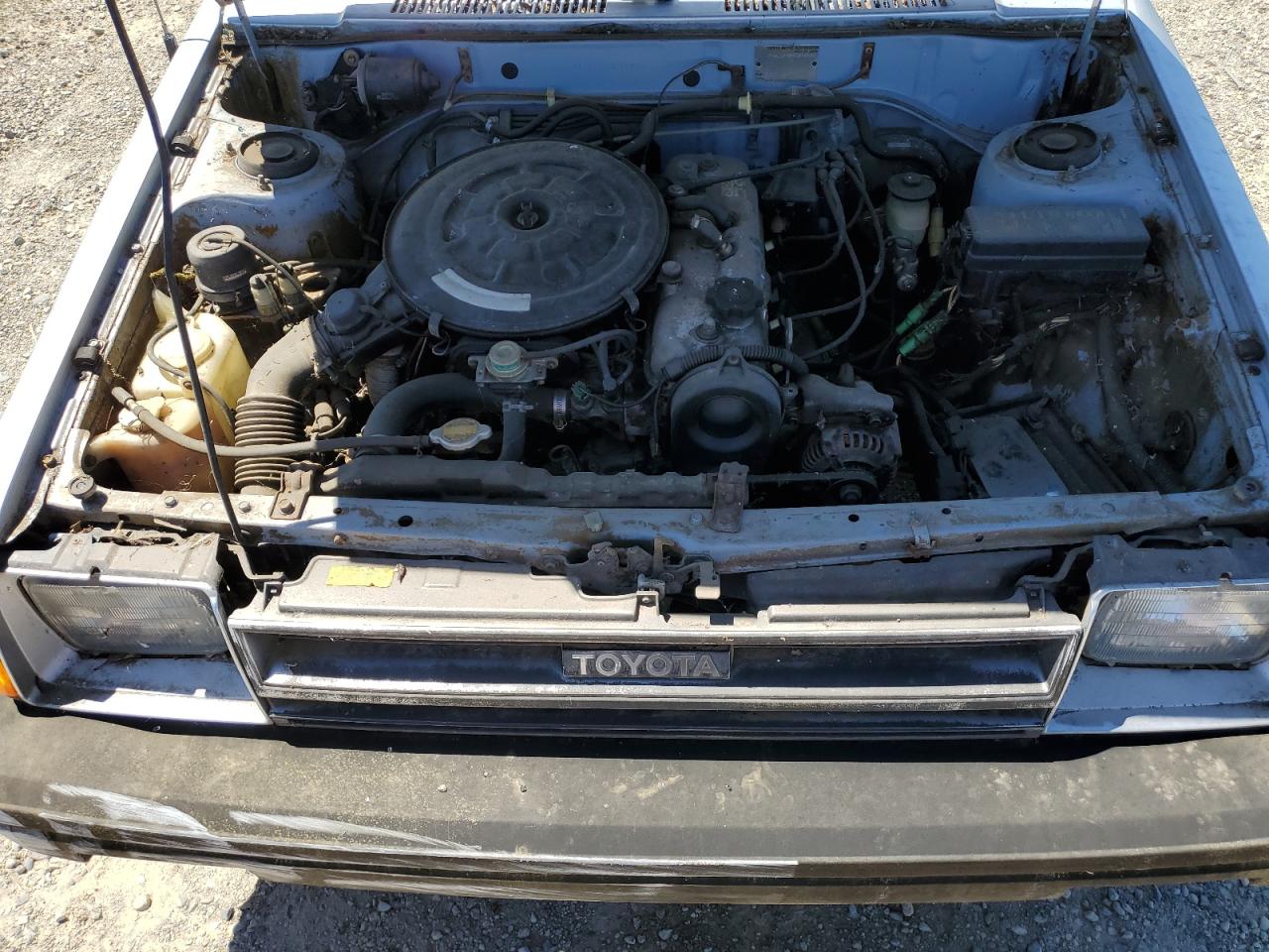 1986 Toyota Tercel VIN: JT2AL31G9G0434896 Lot: 53816054