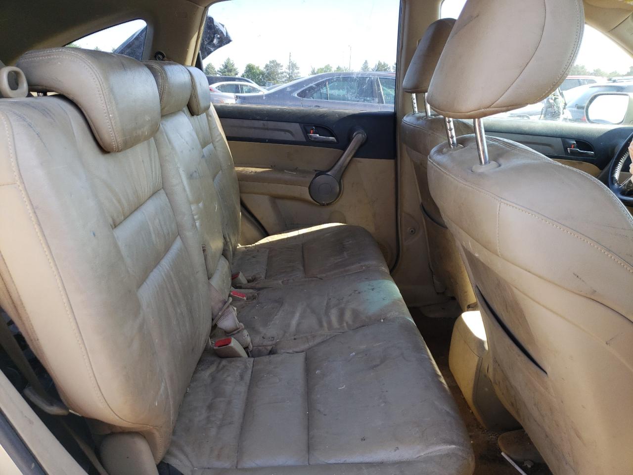 2008 Honda Cr-V Exl VIN: JHLRE387X8C038196 Lot: 54622834