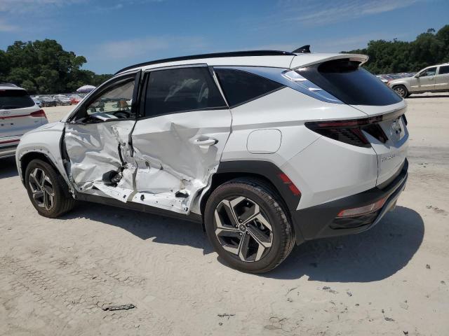  HYUNDAI TUCSON 2024 Білий