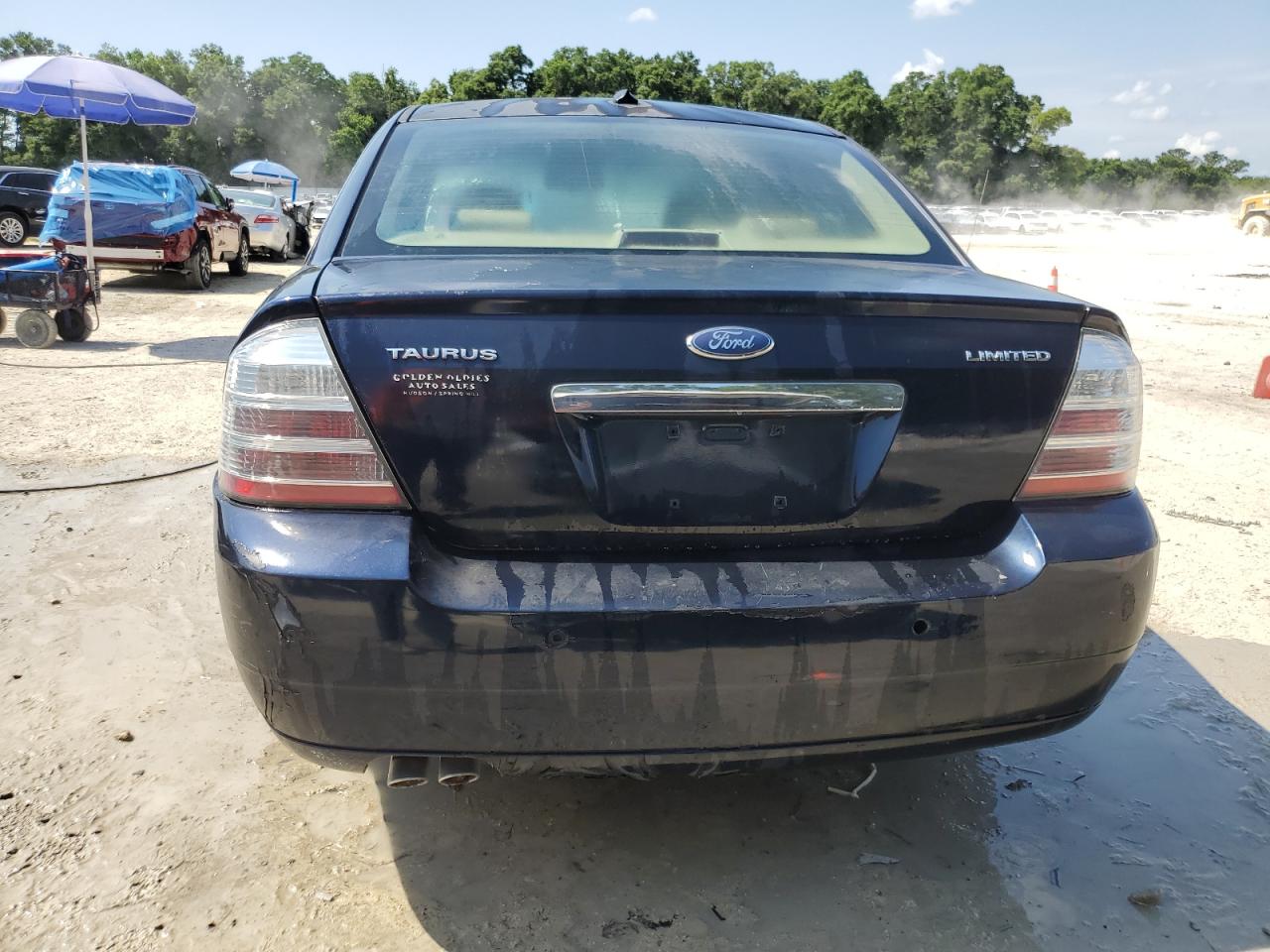 2008 Ford Taurus Limited VIN: 1FAHP25W28G134248 Lot: 53434834