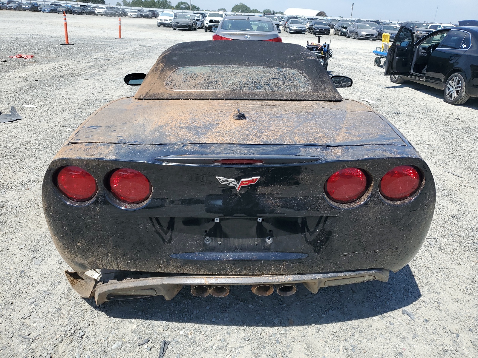 1G1YY34U755117555 2005 Chevrolet Corvette