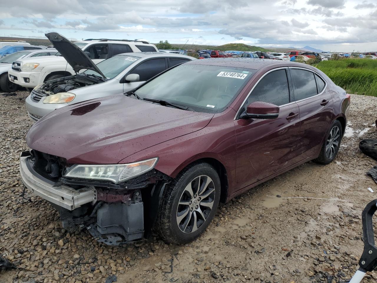 2015 Acura Tlx VIN: 19UUB1F35FA021031 Lot: 53740764