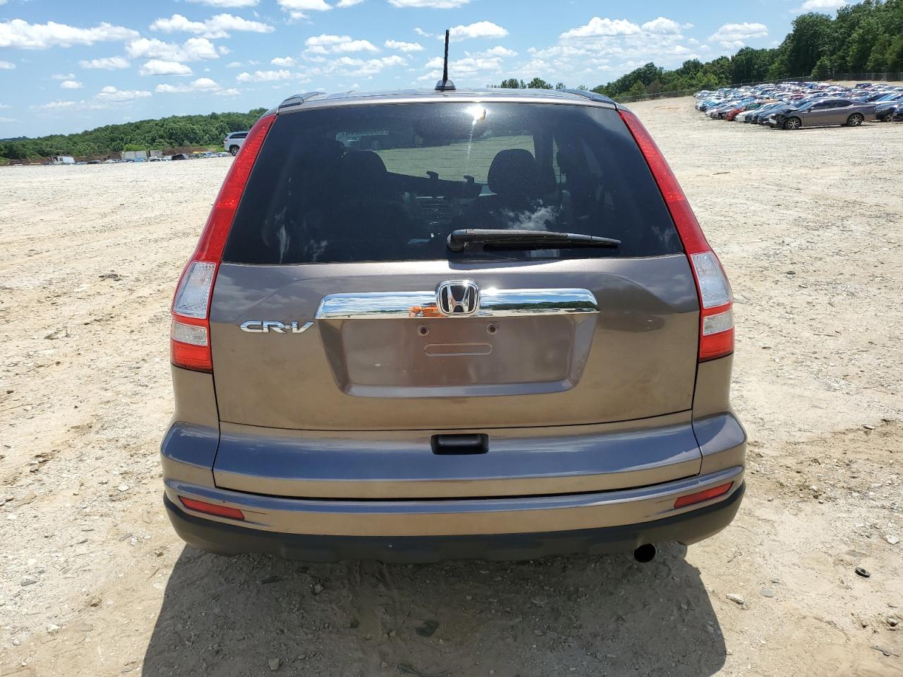 2010 Honda Cr-V Exl VIN: 5J6RE3H77AL033244 Lot: 56569614