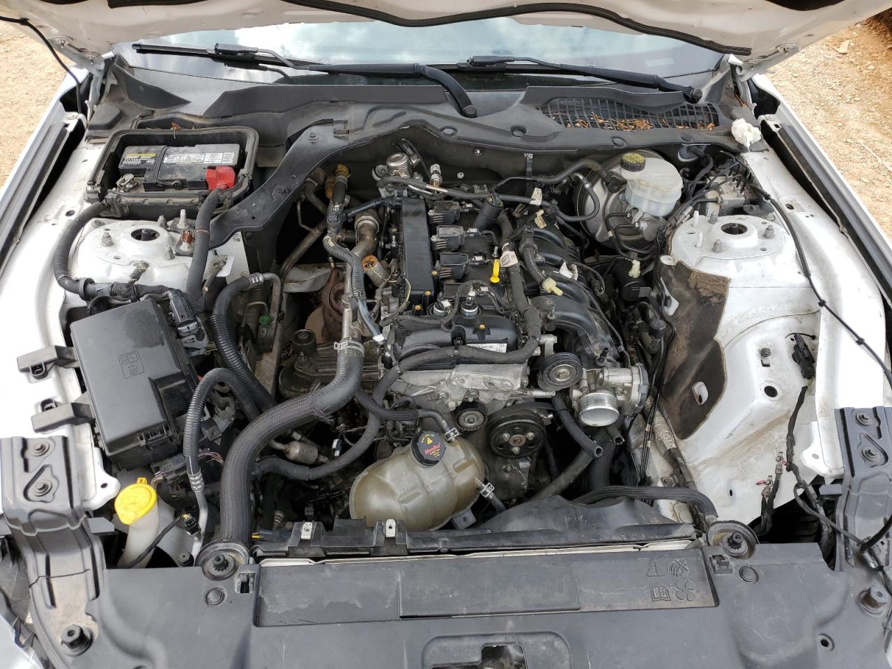 2018 Ford Mustang VIN: 1FA6P8TH8J5104414 Lot: 54367824