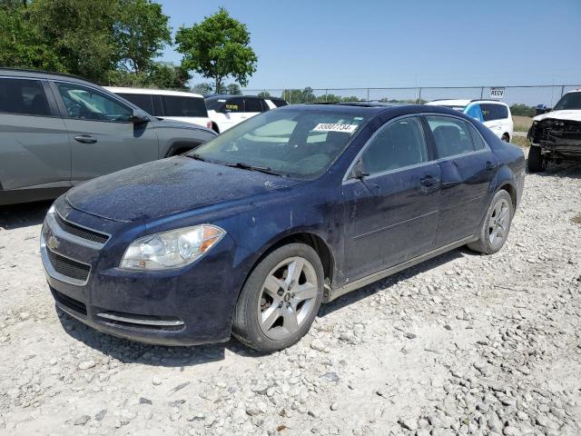 2009 Chevrolet Malibu 1Lt for Sale in Cicero, IN - Top/Roof