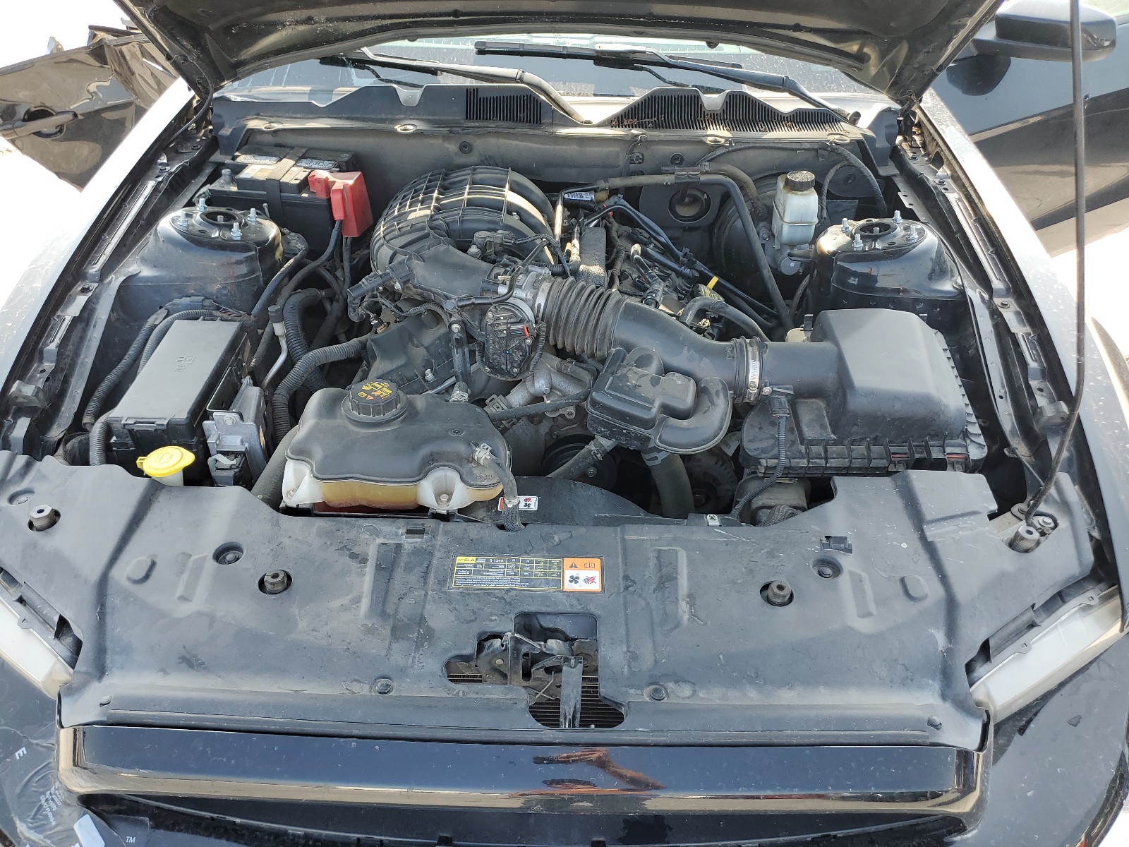 1ZVBP8AM9D5262206 2013 Ford Mustang