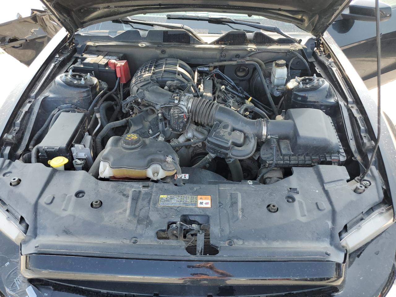 2013 Ford Mustang VIN: 1ZVBP8AM9D5262206 Lot: 56330624