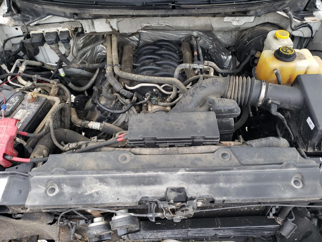 2014 Ford F150 VIN: 1FTNF1CF1EKE20873 Lot: 51848494