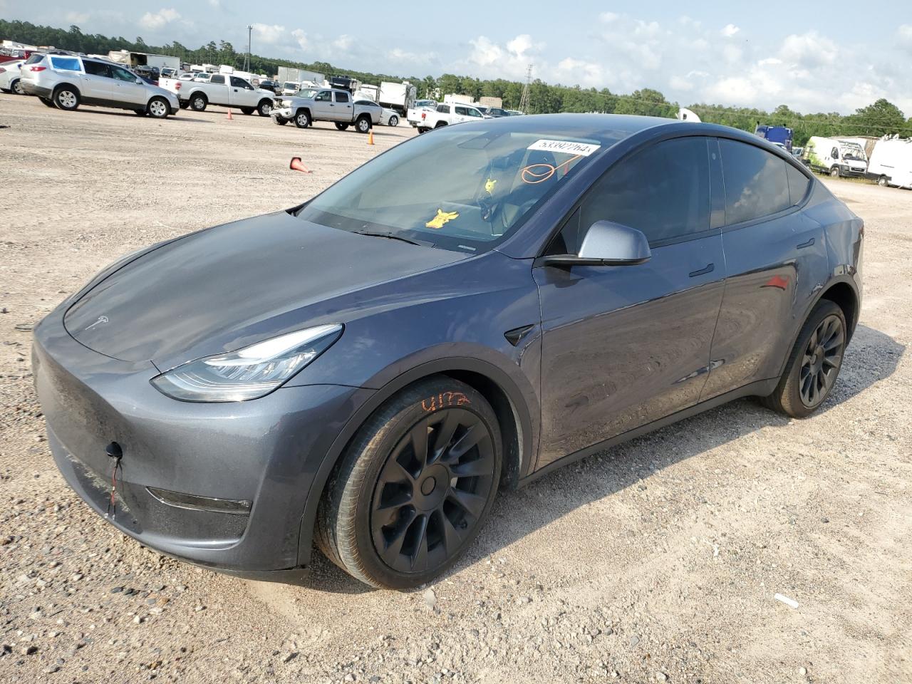 2023 Tesla Model Y VIN: 7SAYGDEEXPA093549 Lot: 53392264