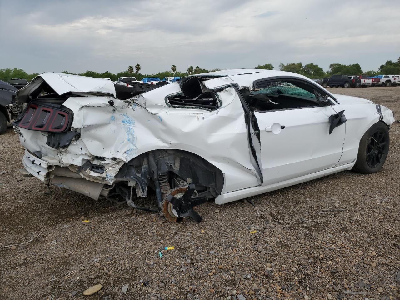 2014 Ford Mustang VIN: 1ZVBP8AM2E5269967 Lot: 56079434