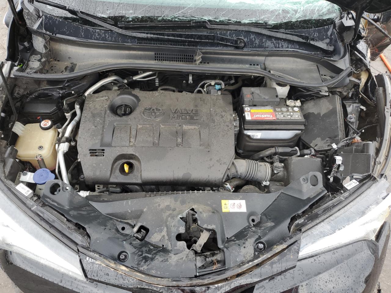 NMTKHMBX5KR081126 2019 Toyota C-Hr Xle