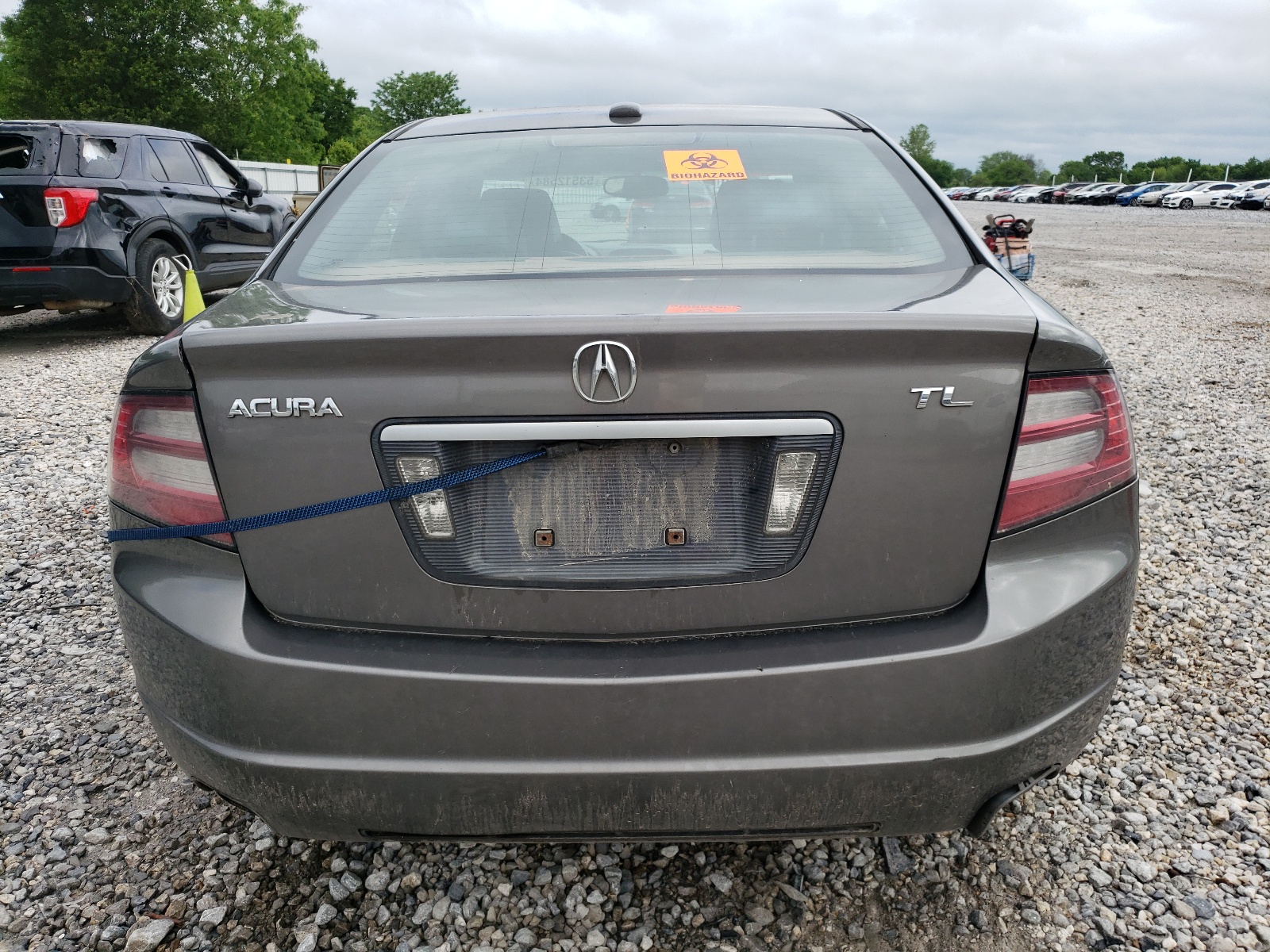 19UUA66268A051908 2008 Acura Tl