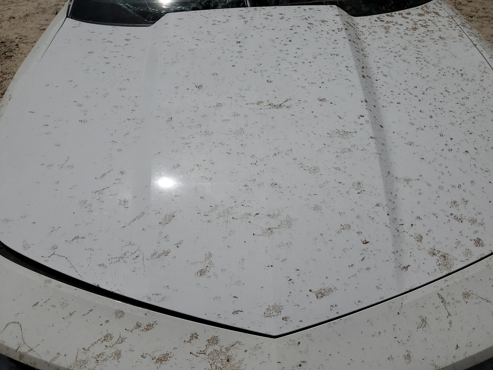 2G1FE1E34D9222629 2013 Chevrolet Camaro Ls