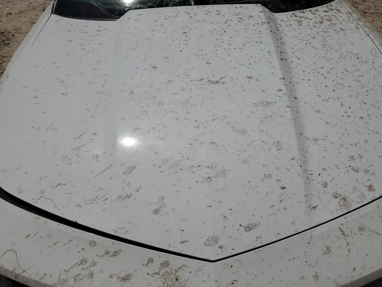 2013 Chevrolet Camaro Ls VIN: 2G1FE1E34D9222629 Lot: 52966784