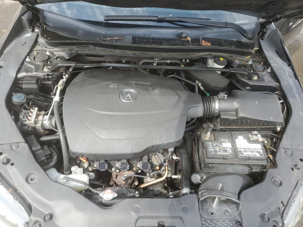 19UUB2F55FA010084 2015 Acura Tlx Tech