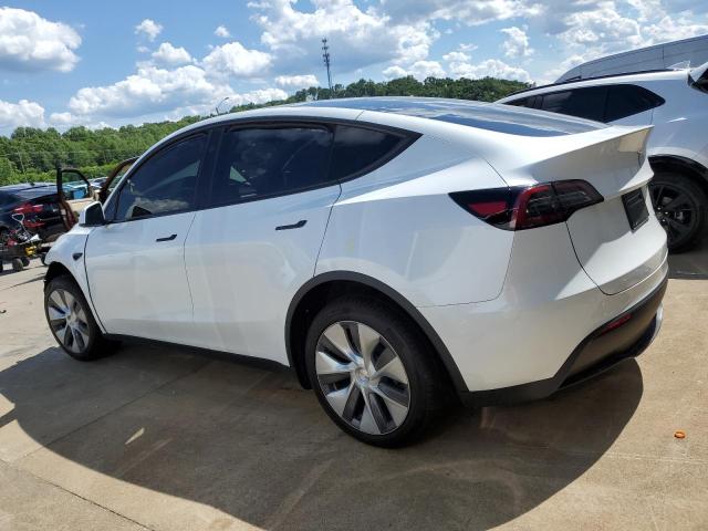  TESLA MODEL Y 2023 Белый