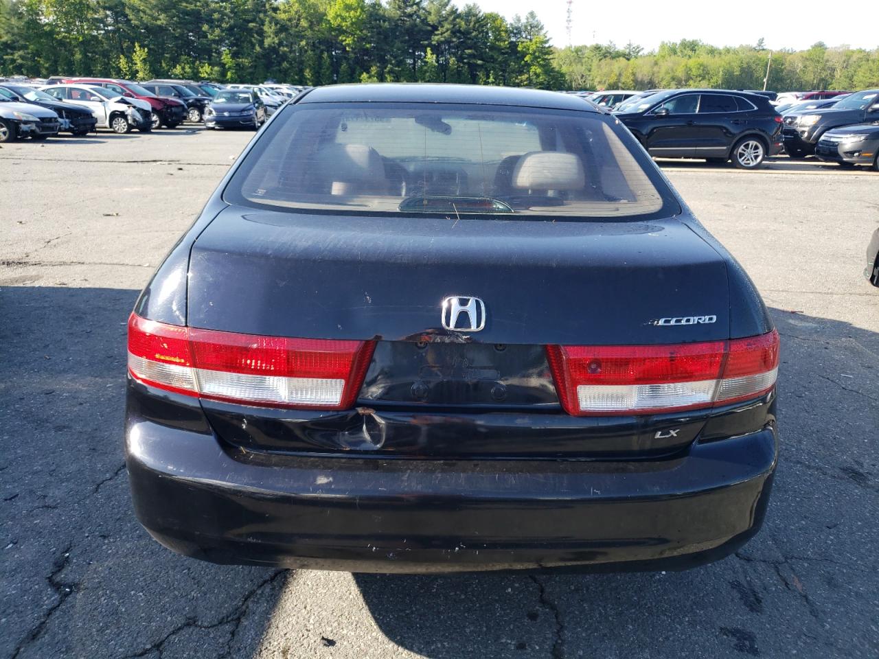 2003 Honda Accord Lx VIN: JHMCM563X3C035534 Lot: 55732174