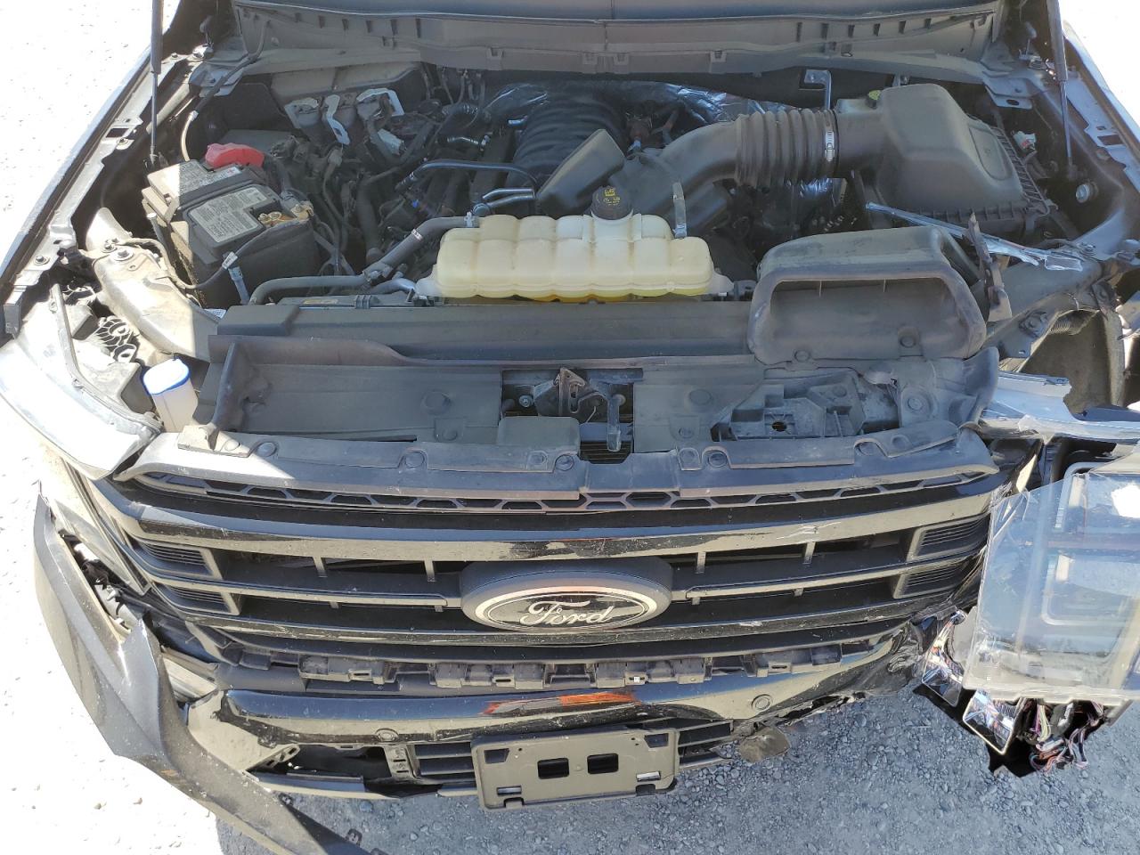 2022 Ford F150 Supercrew VIN: 1FTFW1E51NFB50559 Lot: 57170854