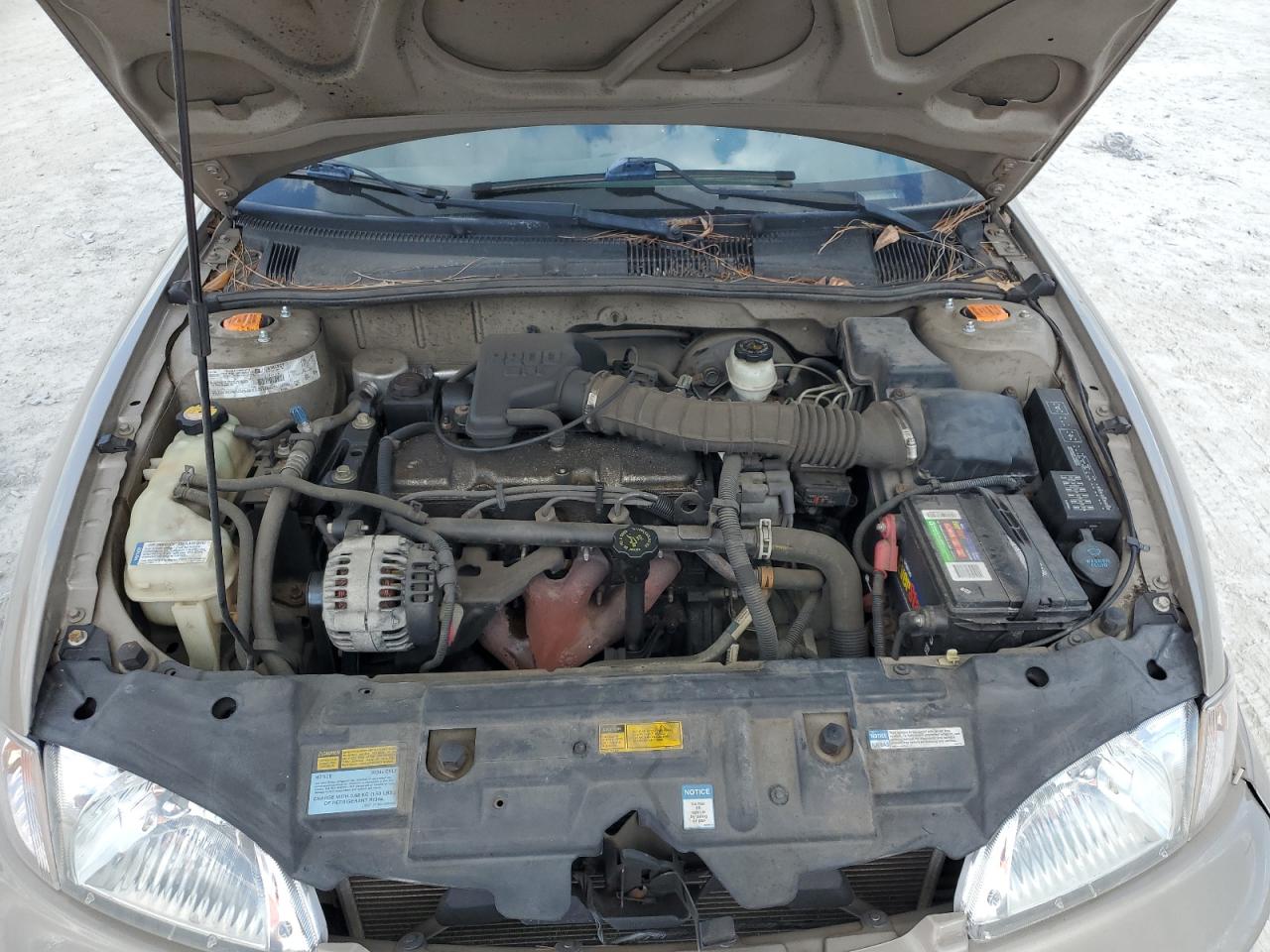 2001 Chevrolet Cavalier VIN: 1G1JC124617200075 Lot: 56023714