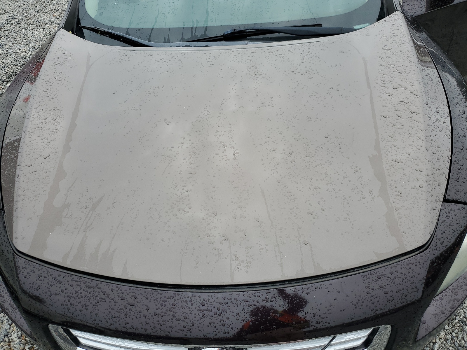 1N4AA5AP4CC839104 2012 Nissan Maxima S