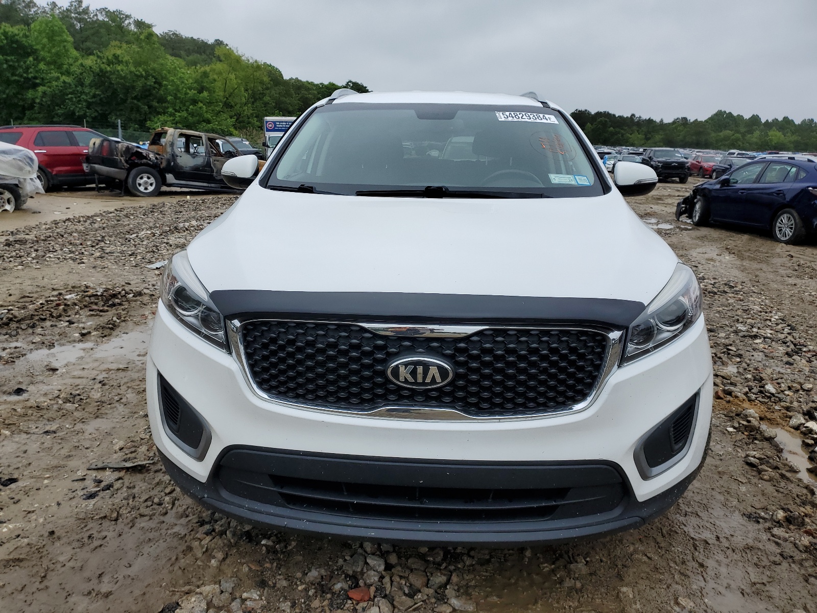 5XYPGDA33GG026560 2016 Kia Sorento Lx