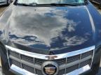 2010 Cadillac Srx Luxury Collection en Venta en Marlboro, NY - Front End