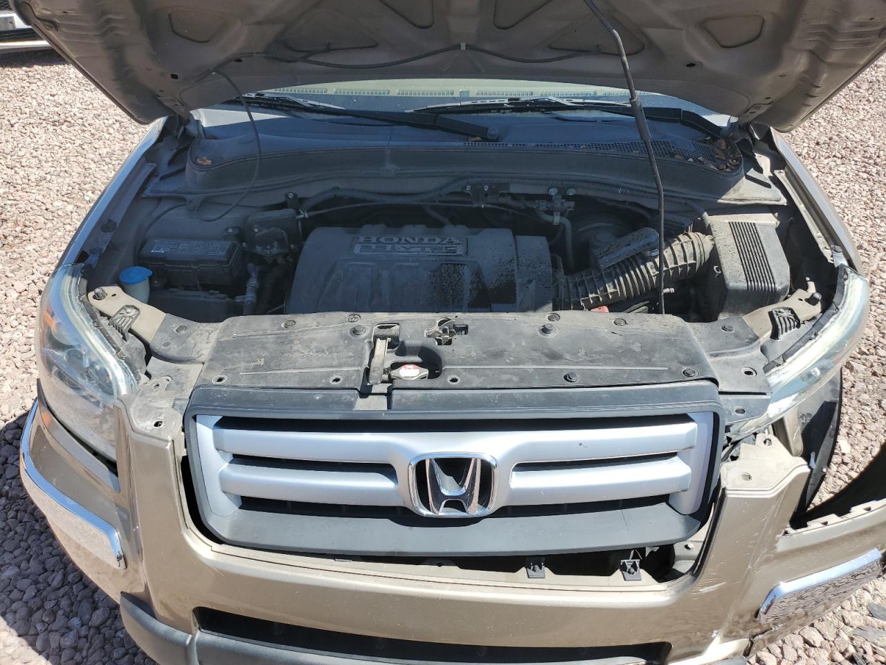 2007 Honda Pilot Exl VIN: 5FNYF285X7B000208 Lot: 54051774