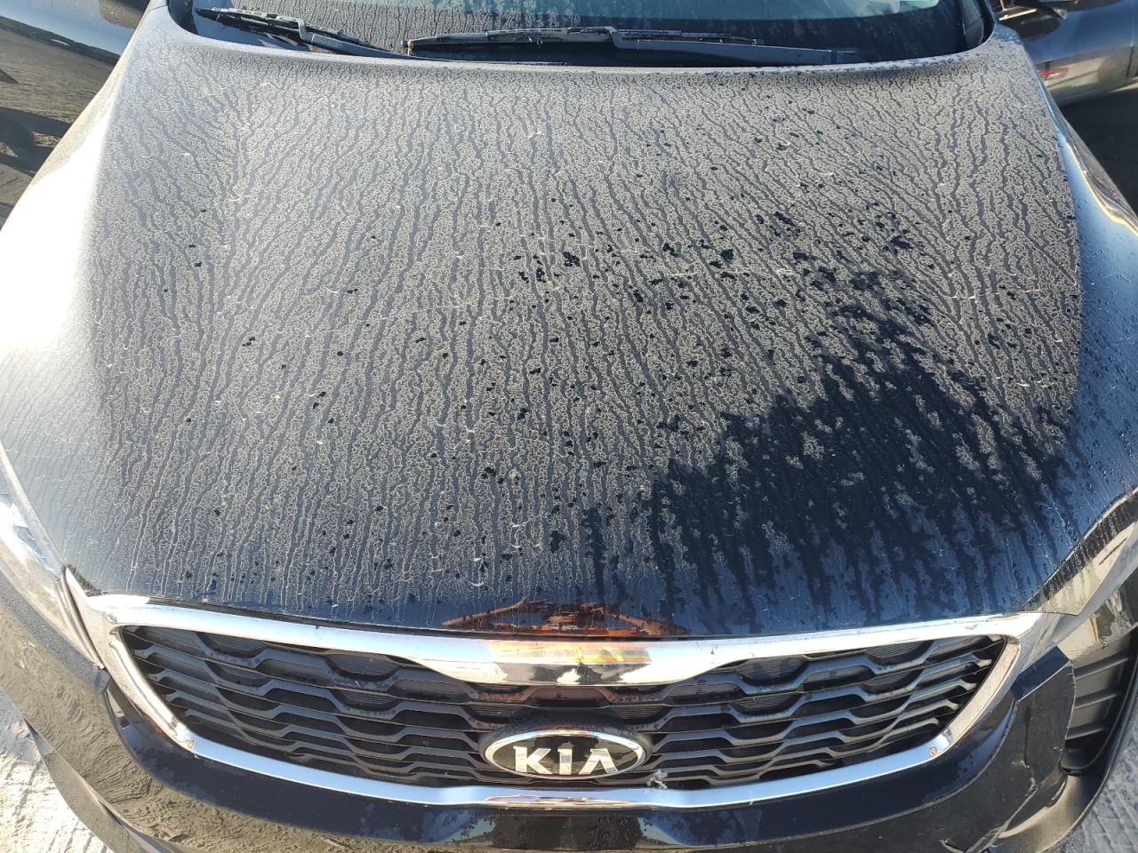 5XYPGDA30KG548927 2019 Kia Sorento L