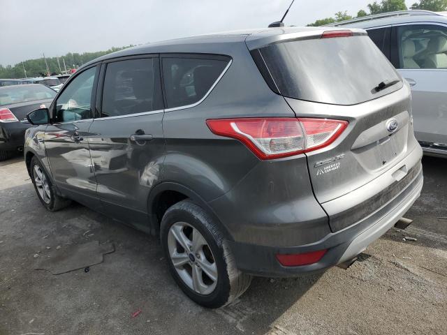 2014 FORD ESCAPE SE 1FMCU0GXXEUD30924  55955954