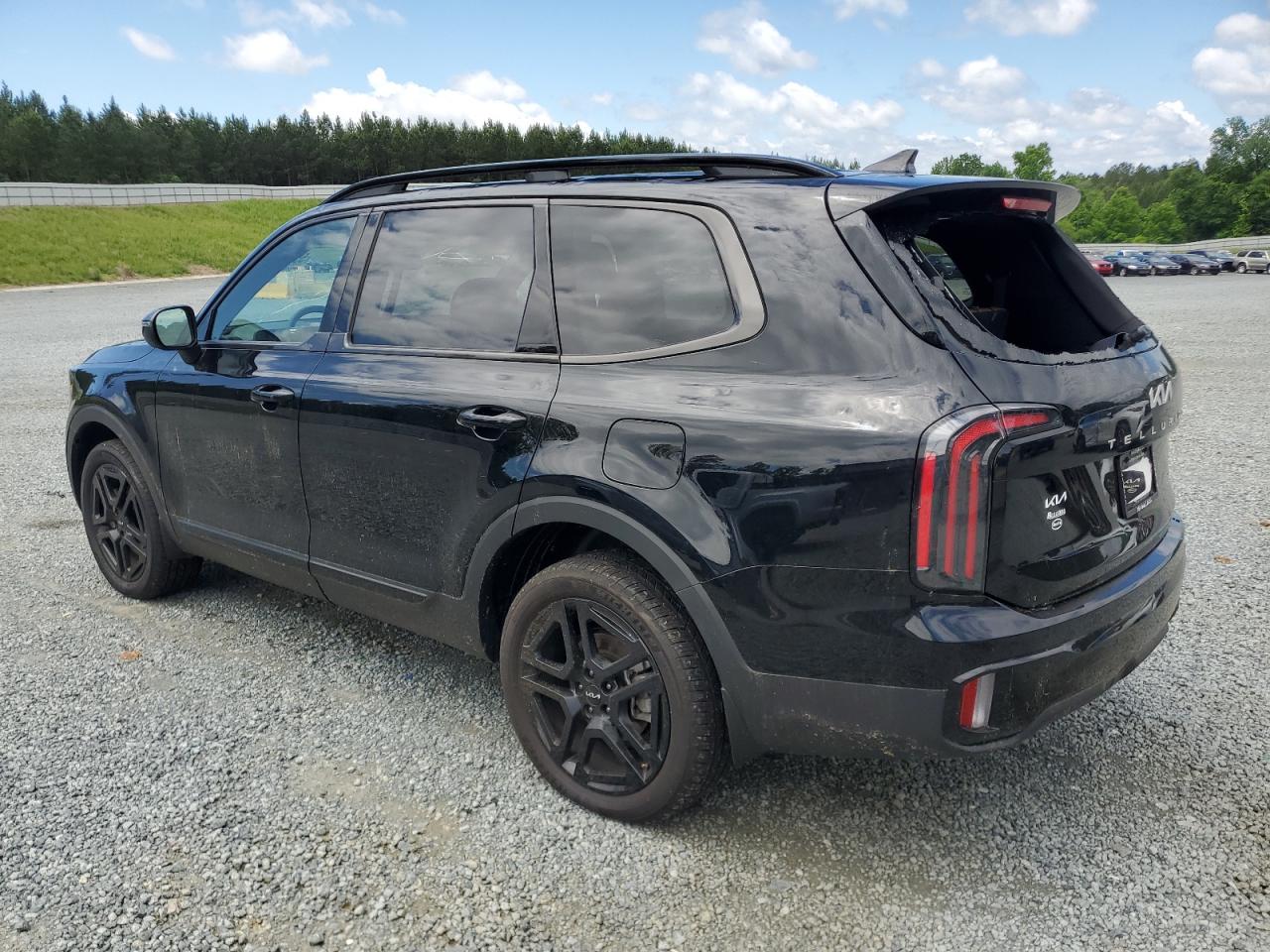 2024 Kia Telluride Ex VIN: 5XYP3DGC6RG446545 Lot: 55420754