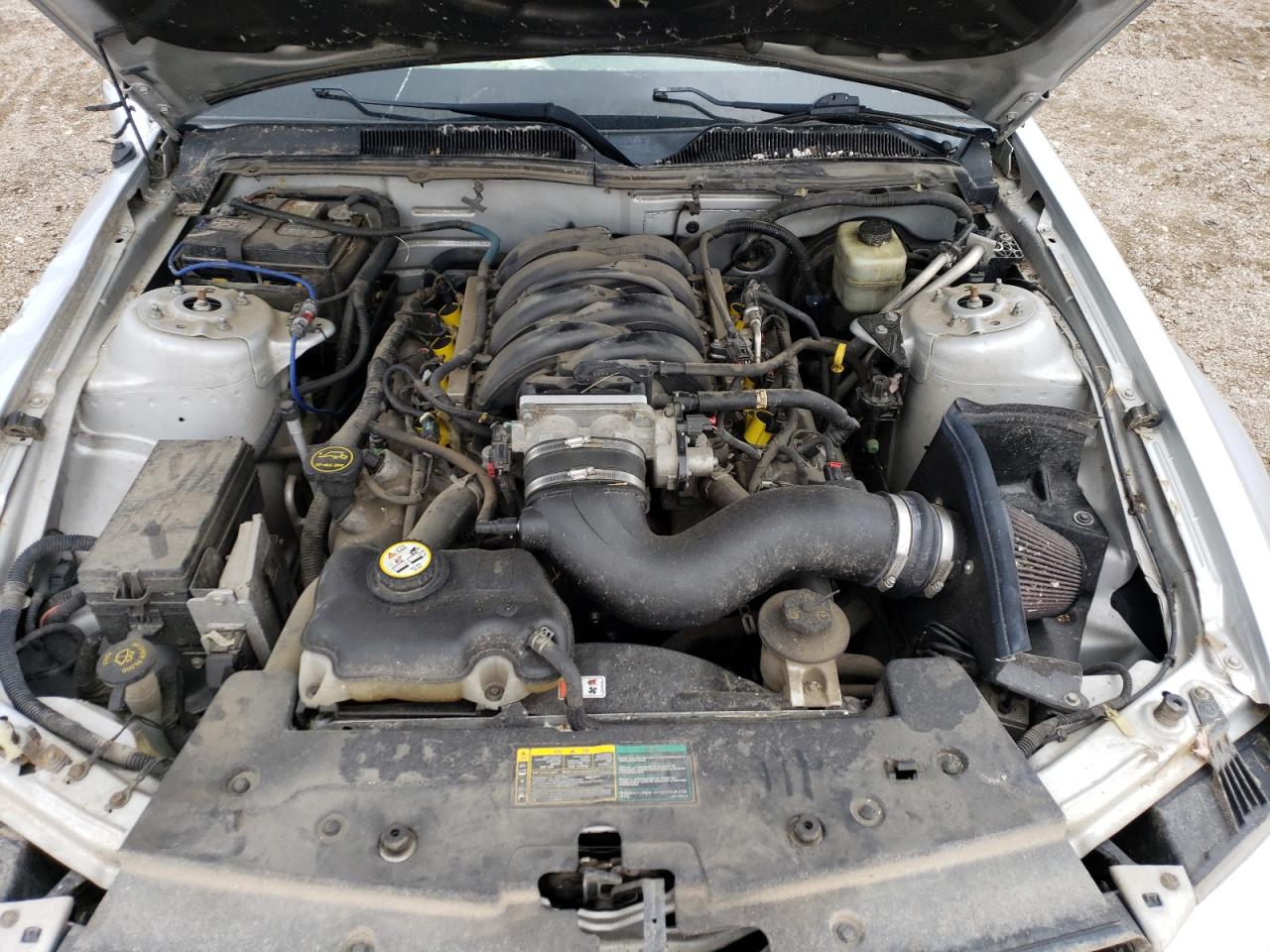 2006 Ford Mustang Gt VIN: 1ZVFT82H565197470 Lot: 53314974