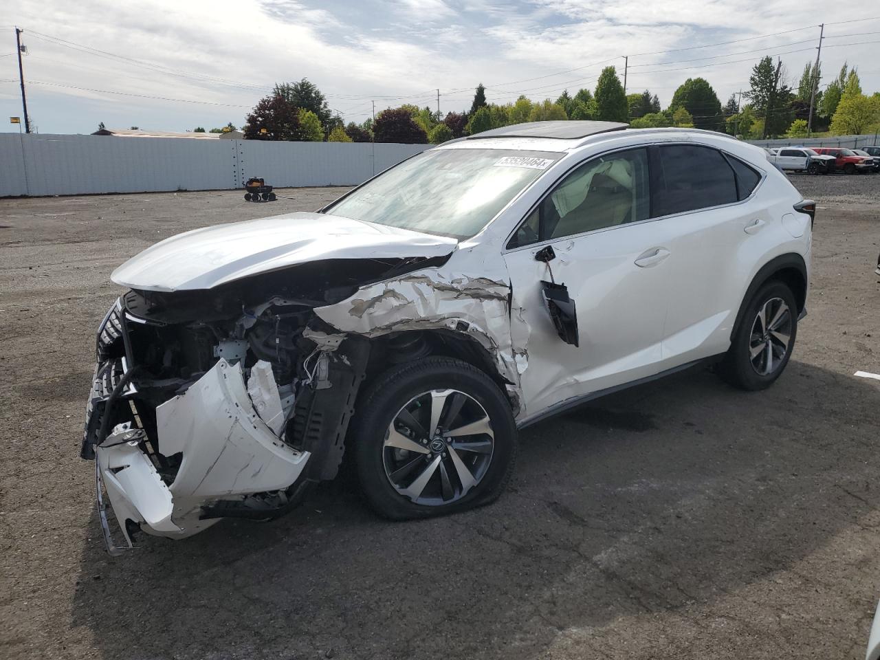 2019 Lexus Nx 300 Base VIN: JTJYARBZ3K2136661 Lot: 53520464