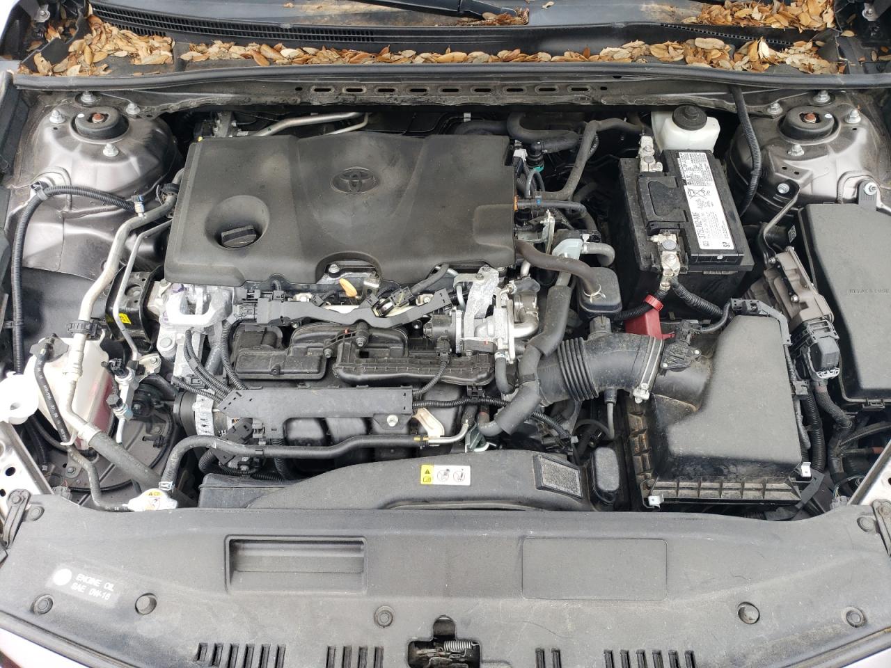 2020 Toyota Camry Le VIN: 4T1C11AK1LU954801 Lot: 80744245