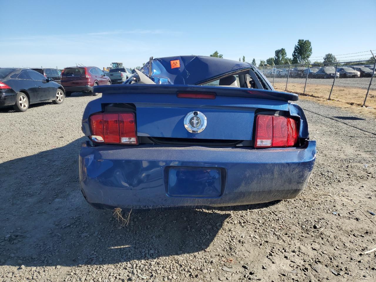 2009 Ford Mustang VIN: 1ZVHT80NX95123953 Lot: 56860804