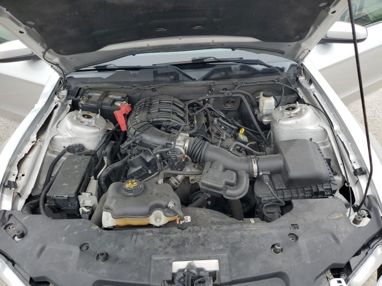 2012 Ford Mustang VIN: 1ZVBP8AM3C5272664 Lot: 55003954