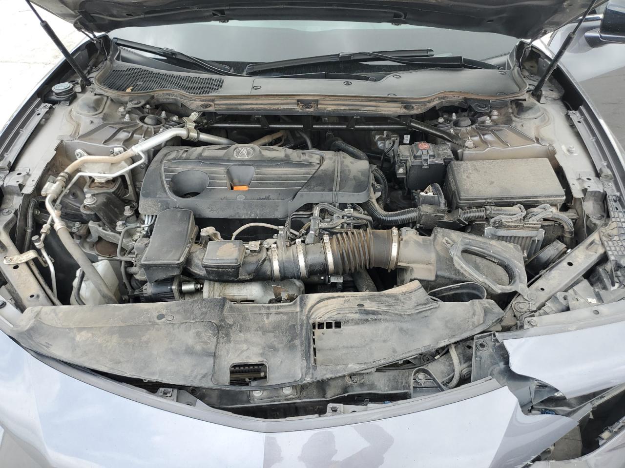 2021 Acura Tlx Technology VIN: 19UUB5F43MA009277 Lot: 55197114