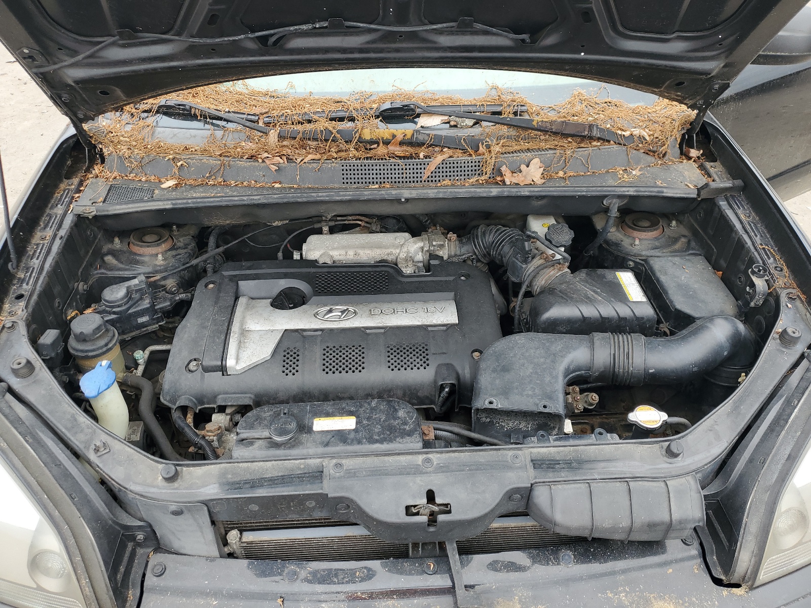 KM8JM12B95U188297 2005 Hyundai Tucson Gl