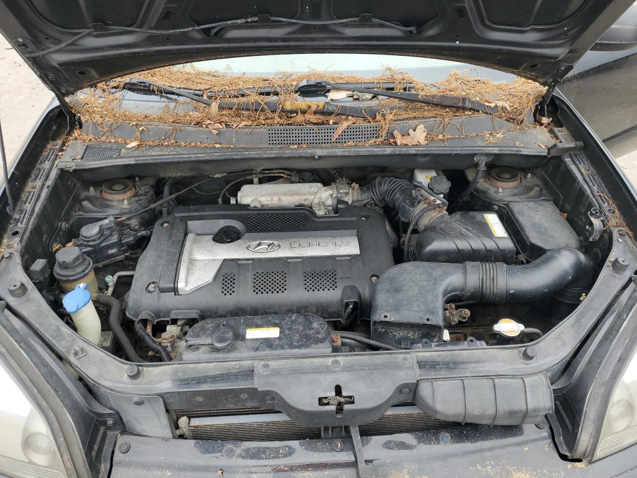 2005 Hyundai Tucson Gl VIN: KM8JM12B95U188297 Lot: 54941694