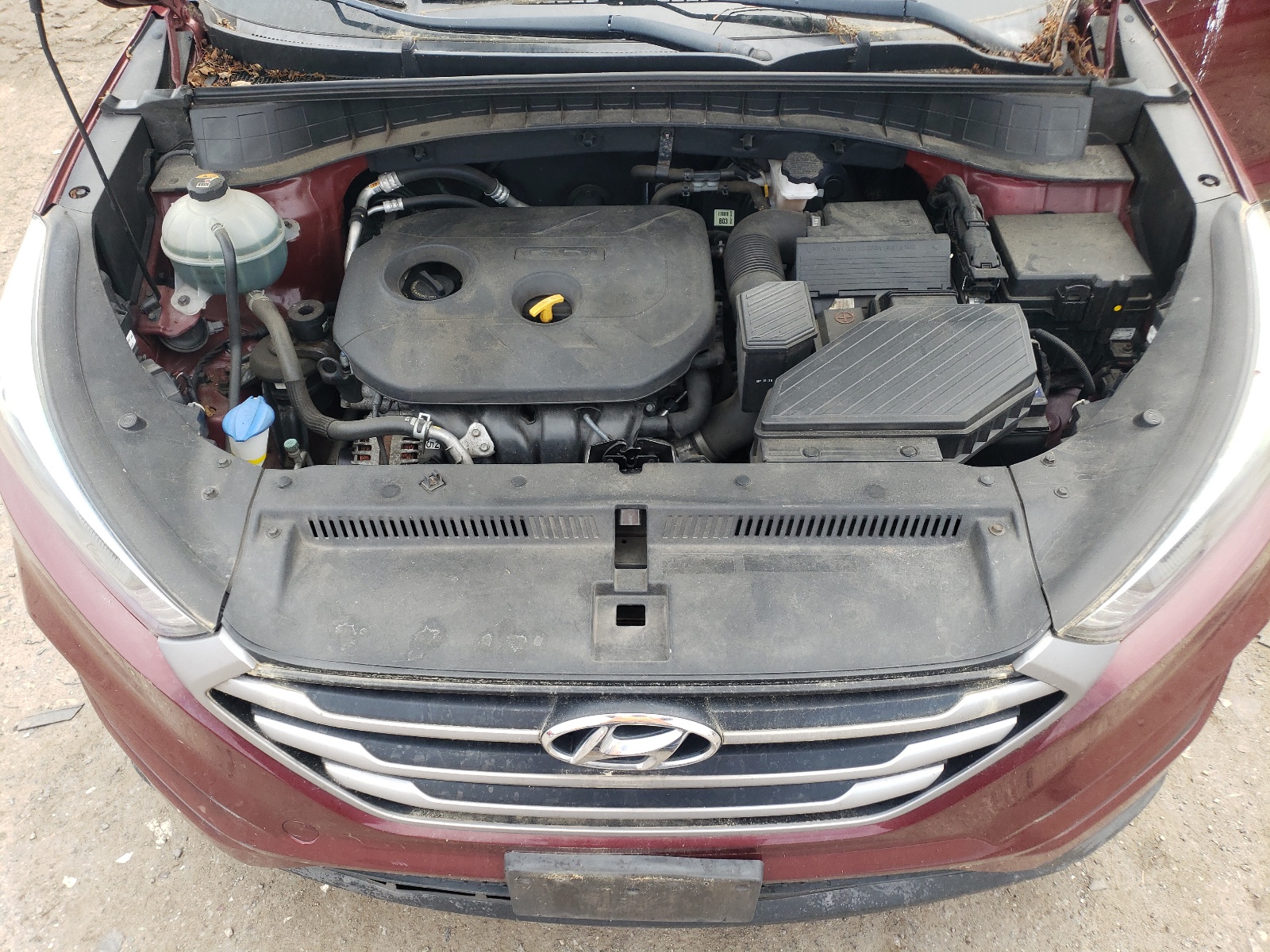 KM8J23A46HU445134 2017 Hyundai Tucson Se