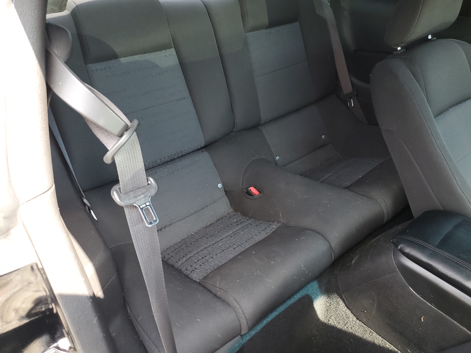 1ZVHT80N185112919 2008 Ford Mustang